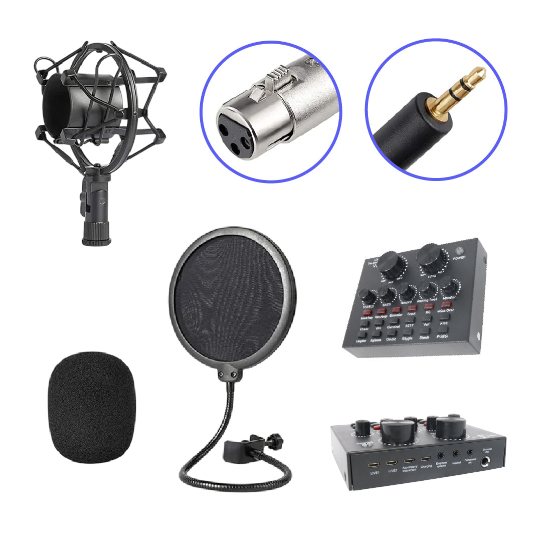 Micrófono profesional de estudio