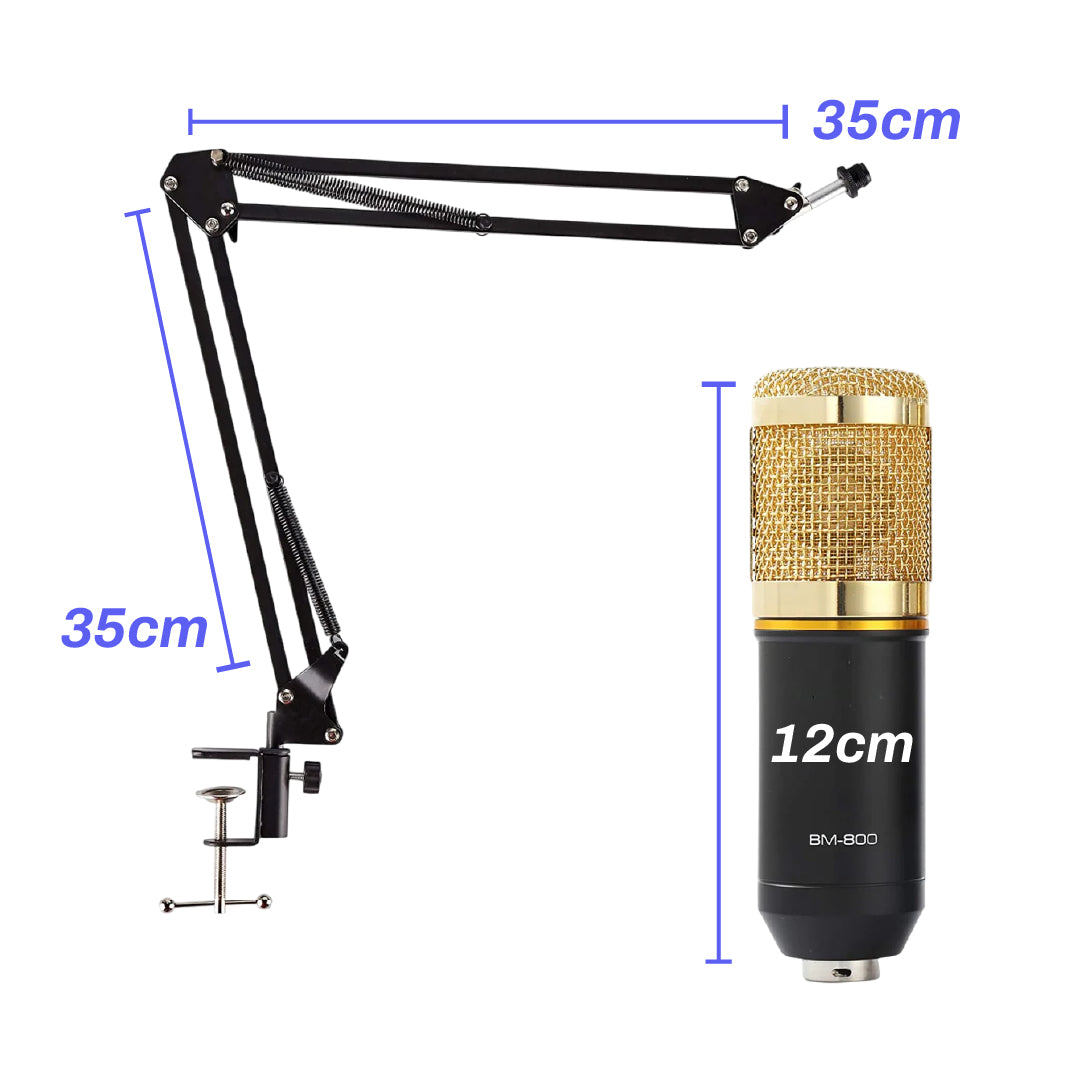 Micrófono profesional de estudio